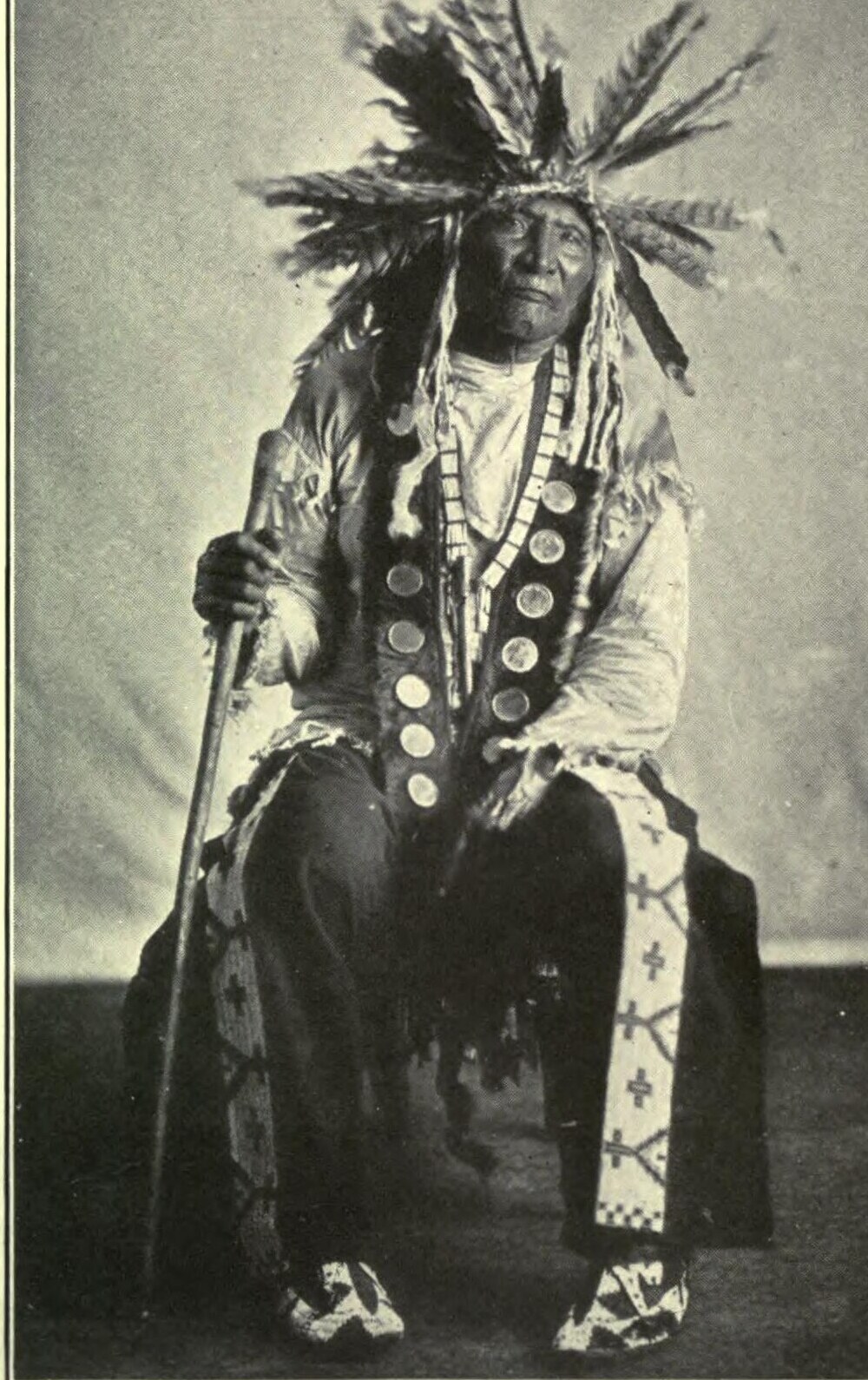 Brave Buffalo's Dream of the Buffalo Nation